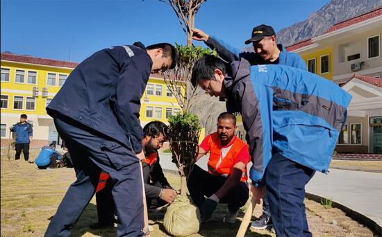 巴基斯坦巴沙项目履“植”尽责做绿色建设者.jpg